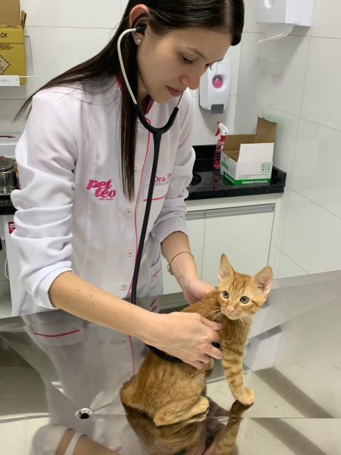 Dra Thais e um gato